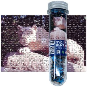 micro puzzle Penn State Nittany Lion Shrine